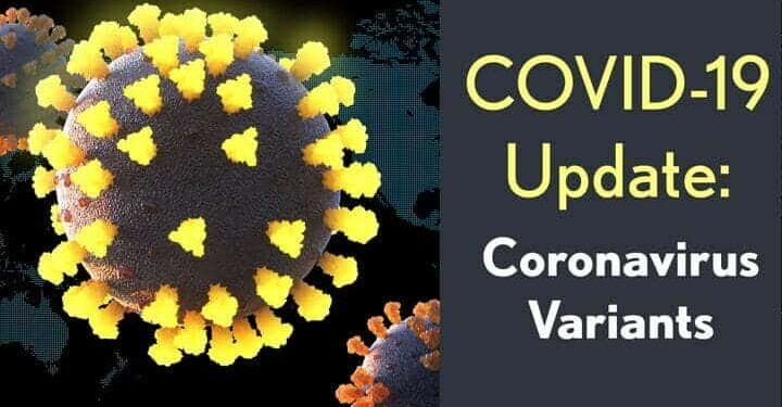 Coronavirus Variants: New variant of Coronavirus will knock soon, WHO warns