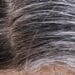 Hair Care TIPS: Get rid of white hair, easy home tips to follow