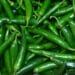 Green Chili Benefits If you want to get rid of these problems, then consume green chili daily, its countless benefits.