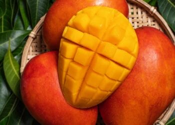 Can Sugar Patient Eat Mango Learn how to include in the diet