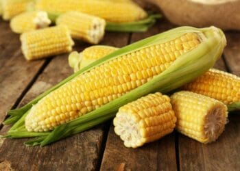 Corn has many natural properties, effective in relieving many diseases