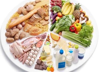 CSE report revealed, 17 lakh deaths annually due to lack of healthy diet in India