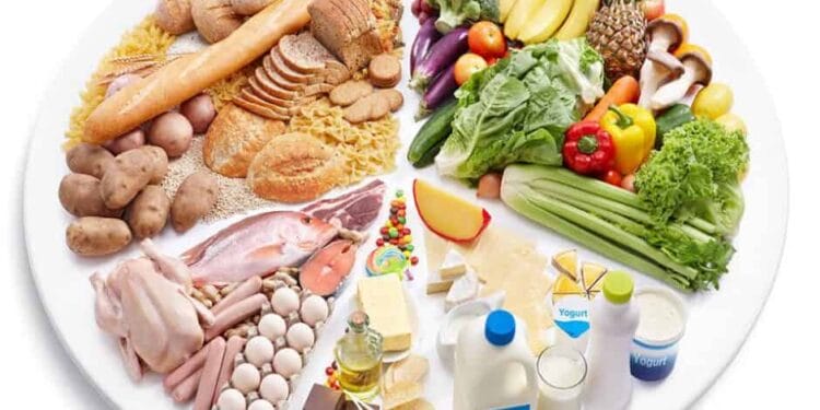 CSE report revealed, 17 lakh deaths annually due to lack of healthy diet in India