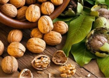 Eat walnuts to keep uric acid control, know the many benefits of consuming them