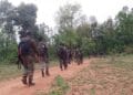 encounter-between-naxalites-and-security-forces-on-the-old-mountain-of-latehar