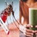 Dengue Home Remedies