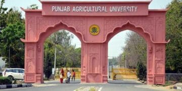 Punjab Agricultural University