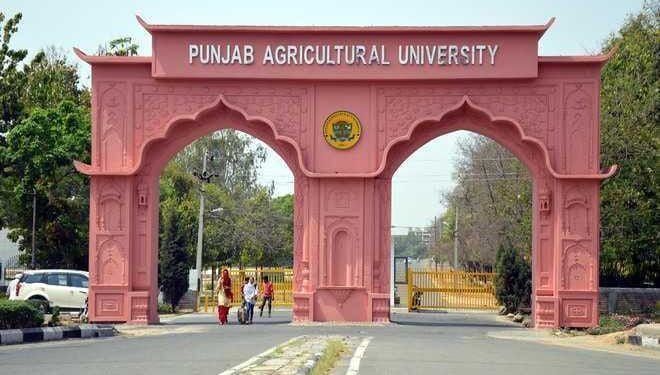 Punjab Agricultural University