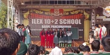 Ilex Public School