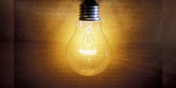 Bulb