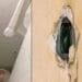 Hidden camera installed in bedroom and bathroom