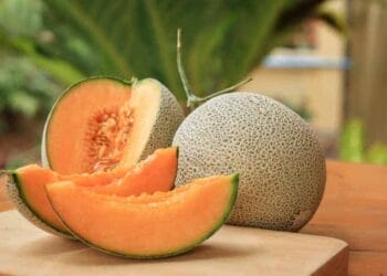 cantaloupe, its seeds