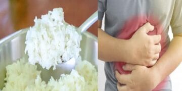 diseases FROM STALE RICE