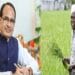 Increasing the income of farmers is the first priority of the central government, Shivraj Chauhan said…