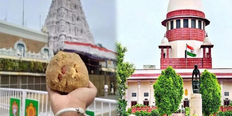 Independent SIT should investigate Tirupati Laddu controversy, Supreme Court suggested…