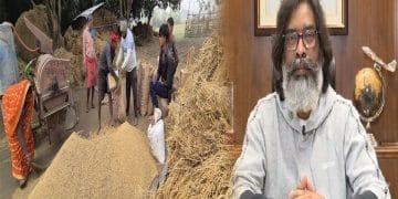 Hemant Government will buy Paddy from Farmers